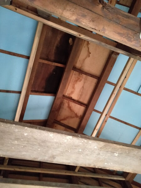 内部結露してしまった天井に天井断熱 Diy Store
